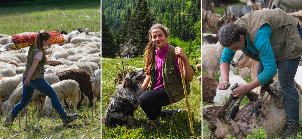 Foto di copertina e nel testo scattate tutte da Daniele Mosna Grazie alla transumanza ho capito qual è la mia strada, in viaggio con la pastora 21enne Lia Zambelli: Il mio augurio?